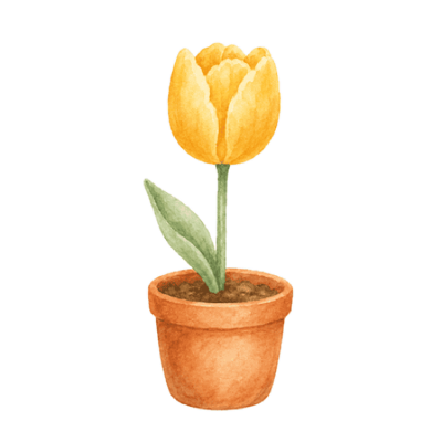 A tulip growing in a pot, painted in watercolour